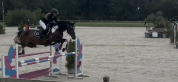 Hongre potentiel 135