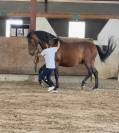 Super cheval polyvalent PP &mdash; 9 ans 
