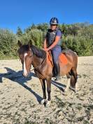 Poney 4 ans pour loisir mod&eacute;r&eacute;