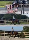 Cheval &agrave; vendre 