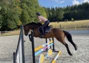 Cheval &agrave; vendre 