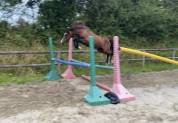 Top ponette de 1an