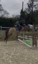 Top ponette de 1an