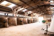 prorpi&eacute;t&eacute; equestre de 20 ha avec piste