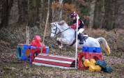 Ponette welsh Bmax 11 ans 