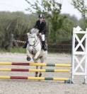 Ponette welsh Bmax 11 ans 