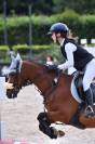 Pony olandese esperto competitivo