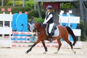 Pony olandese esperto competitivo