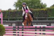 Pony olandese esperto competitivo