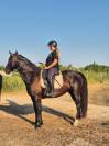 Jument ONC noire &ndash; 8 ans 