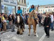 Magnifique Hongre Irish Cob Plein Papier 
