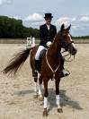 Feniki &mdash; Jument de 16 ans &mdash; 1,67 m &mdash; 6 500 &euro;