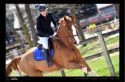 Cheval Kannan x Papillon Rouge 
