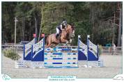 Cheval Kannan x Papillon Rouge 