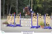 Cheval Kannan x Papillon Rouge 