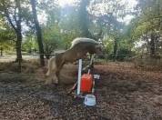 Haflinger 