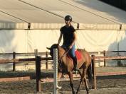 Pony castrone 148 cm, esperto in Mounted Games e salto 