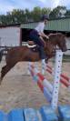 Poney/Cheval 1m49 17ans 