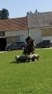 Poney/Cheval 1m49 17ans 
