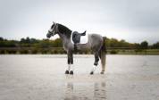 Entier PRE 3,5 ans 
