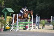 Poney polyvalent 5 ans cce, cso