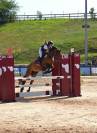 Poney polyvalent 5 ans cce, cso