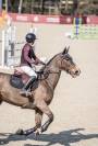 &Agrave; vendre cheval de sport