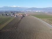 A Pinerolo (TO) affittasi cascina + terreno 50.000 mq. 