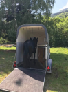 &Agrave; VENDRE &ndash; VAN CHEVAL LIBERT&Eacute; GOLD 1 &ndash; 1,5 PLACE