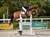 Cheval de 4 ans 