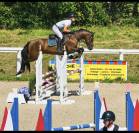 Cheval de 4 ans 