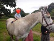 Cheval Hongre Lusitanien Gris 11ans 1m60 Rando/Dressage