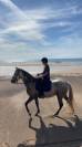 Cheval Hongre Lusitanien Gris 11ans 1m60 Rando/Dressage