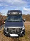CAMION CHEVAUX Movano 