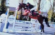 Jument 8 ans amateur 