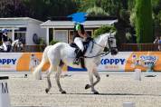 PONY POLIVALENTE PER BREVETTO