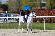 PONY POLIVALENTE PER BREVETTO