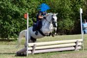 PONY POLIVALENTE PER BREVETTO