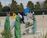 PONY POLIVALENTE PER BREVETTO