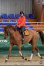 Top cheval d&rsquo;exp&eacute;rience 140-145 pour amateurs
