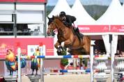 Top cheval d&rsquo;exp&eacute;rience 140-145 pour amateurs
