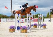 Top cheval d&rsquo;exp&eacute;rience 140-145 pour amateurs