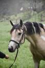 Ponette 7 ans 140cm