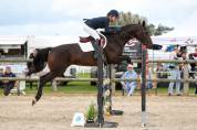 Jument de CSO/ CCE 