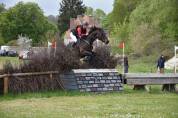 Jument de CSO/ CCE 