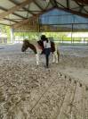 PONETTE SHETLAND