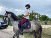 KALLAS DU CHAPELAN &ndash; PFS 148 cm &ndash; 6 ans &ndash; CSO