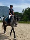 KALLAS DU CHAPELAN &ndash; PFS 148 cm &ndash; 6 ans &ndash; CSO