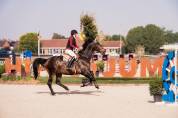 Schoolmaster Figaro 