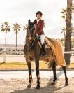 Schoolmaster Figaro 
